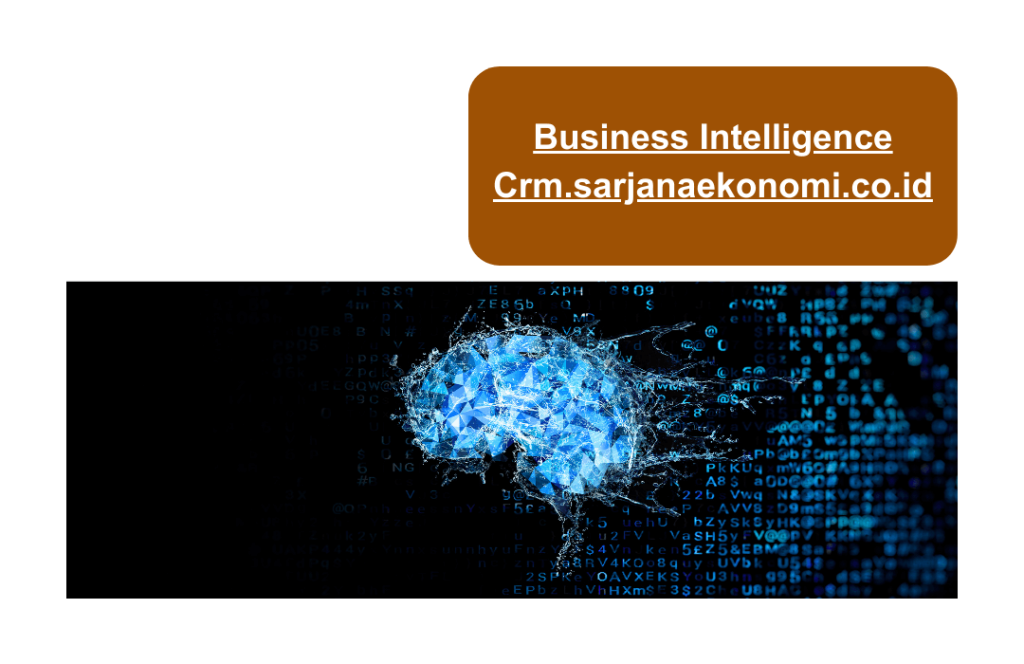 Business Intelligence Crm.sarjanaekonomi.co.id